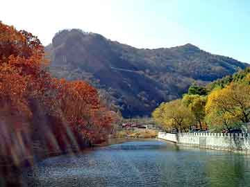 新澳天天开好彩大全，丰田霸道论坛